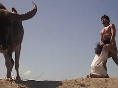 El películas pornográficas gratis Olor Del Pezón