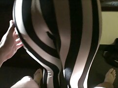 Gatito movies xxx